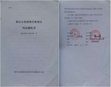 甘肃积石山招商项目背后的无罪之辩：安宏强